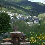 アパート Haus Mittelberg *
