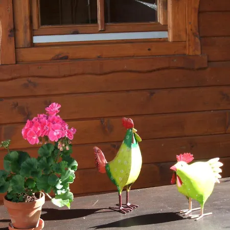 Haus Mittelberg * Olsberg