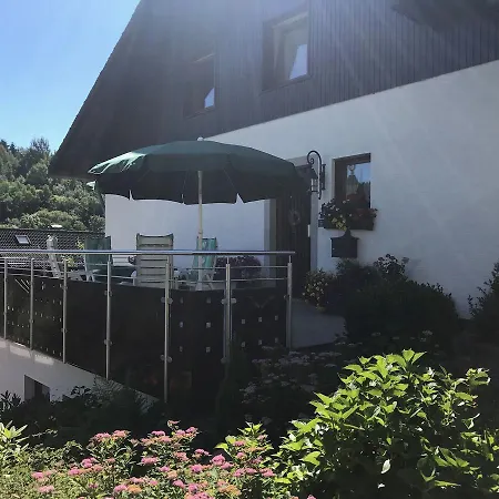 Haus Mittelberg Apartment Olsberg