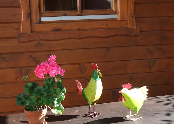 Haus Mittelberg * 奥尔斯贝格