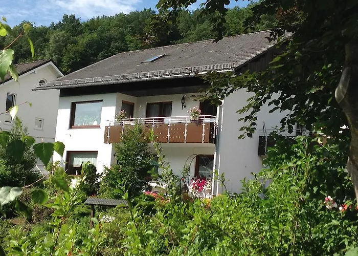 Haus Mittelberg 公寓 *